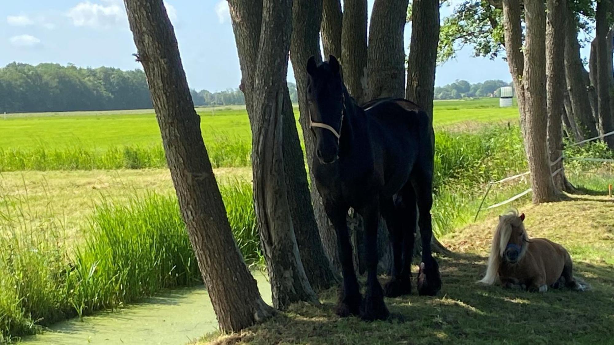 B&B Kuiper In Friesland Ureterp Dış mekan fotoğraf